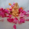 Vaibhav Dhan Laxmi