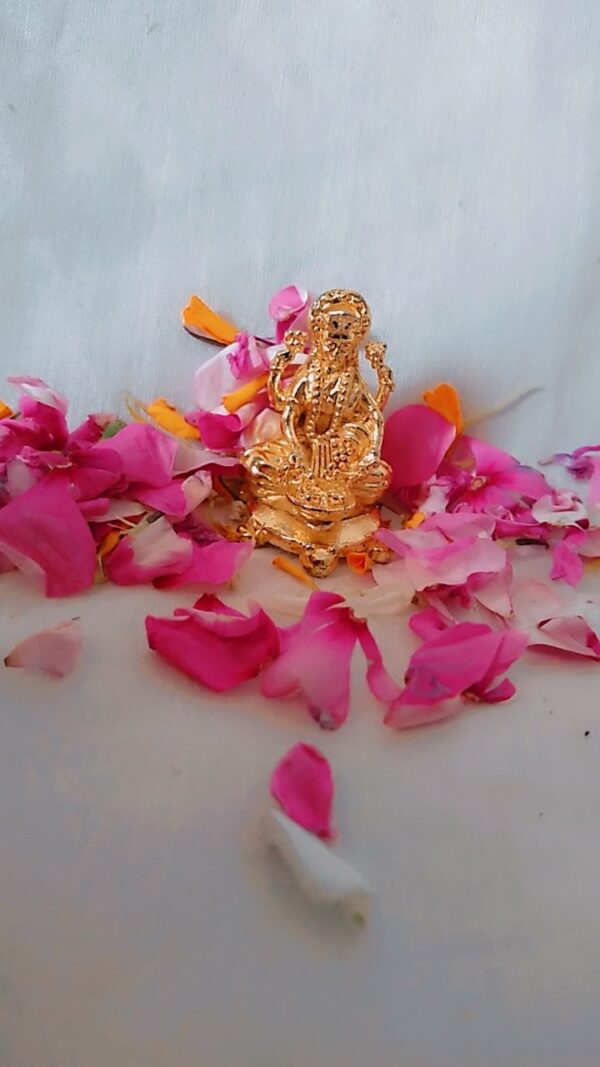 Vaibhav Dhan Laxmi