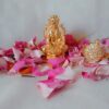 Vaibhav Meru Dhan Laxmi Combo