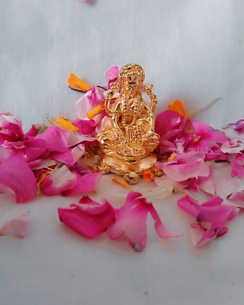 Vaibhav Dhan Laxmi