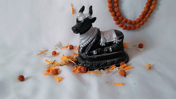 Shri Maharudra Nandi