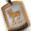 Mesh Rashi Pendant